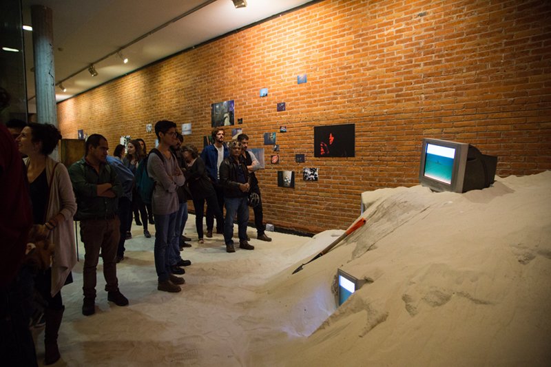 Mexico, On the trail of the «détectives sauvages»…